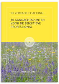 checklist sensitieve profesional coach zilverkade